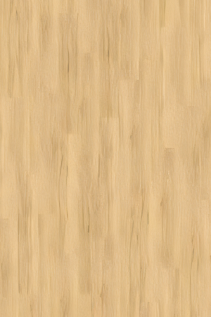 Vinyl - Buche Rustic