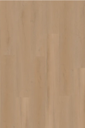 Vinyl - Nuanced Oak